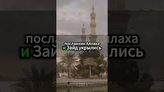 Трогательная история: Посланник Аллаха ﷺ и жестокость жителей Таифа #ИсторииПророка #ПосланникАллаха