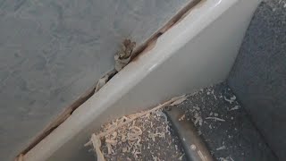 Cracks On Your Staircase