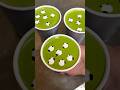 A cute matcha latte 🐏🍵