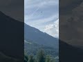 Роза Шале/Поляна