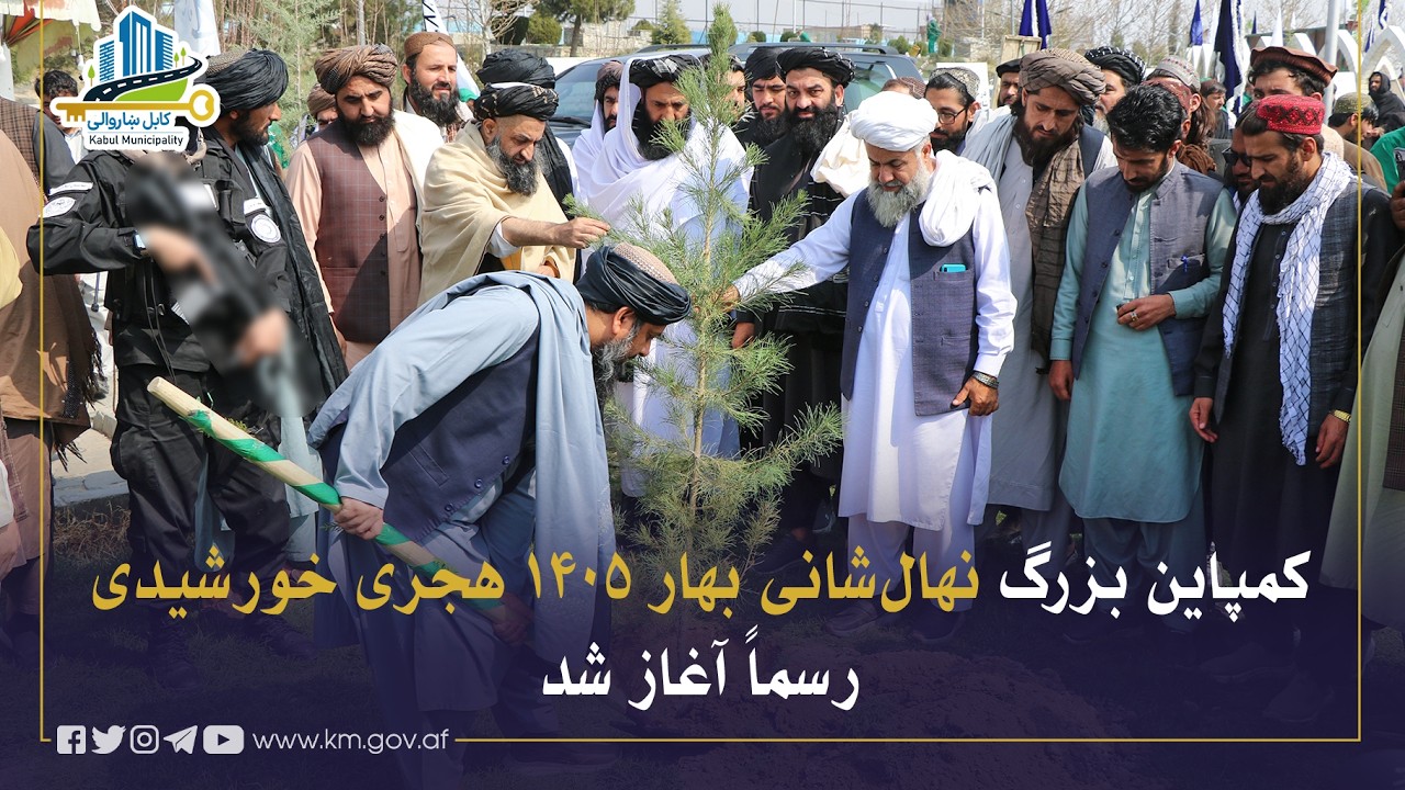 د ۱۴۰۵ کال د نیالګیو کېنولو پسرلنی کمپاین رسمآً پیل شو