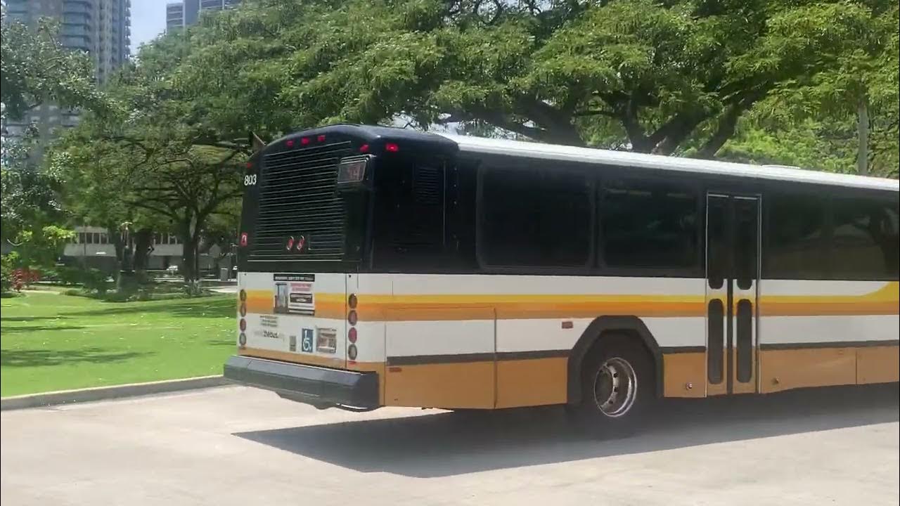 bus 803 last trip