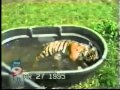 Big Cat Rescue Lies for Profit