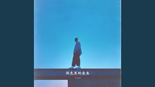 泪光里的金鱼