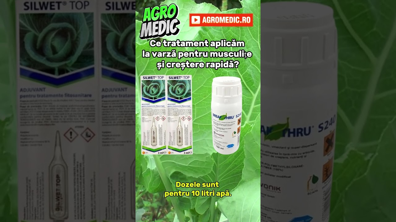 Ce tratament aplicăm la varză pentru musculițe și creștere rapidă? 