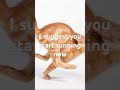 #you#