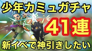 【ドラクエタクト】少年カミュガチャ４１連！新イベントで神引きしたい！！