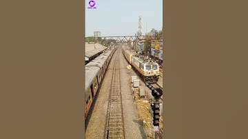 EMU and Express classic crossing #shorts