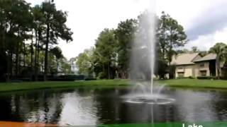 Apartments com Paradise Island Rental Communities Community, FL