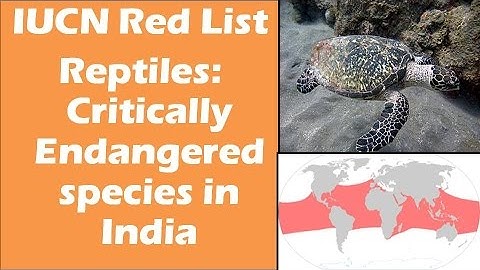 Reptiles: Critically endangered species in India: IUCN Red list