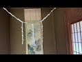 祖父宅に巨大グモが出た