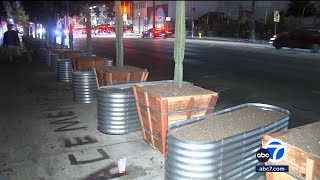 Hollywood Businesses Set Up Garden Beds Planters Along Sidewalk To Clear Homeless Encampments