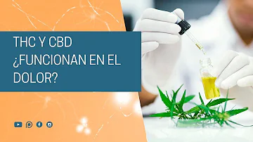 ¿Es buena la crema de CBD para el dolor de la neuropatía?