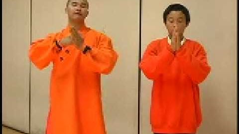 Back Kick in Shaolin Kung Fu