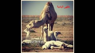 كني خلوجٍ هجرعت - محسن آل فارة المري (حصرياً) screenshot 2