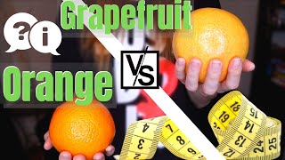 Lose belly fat with GRAPEFRUIT OR ORANGE | Which one is better for weight loss?