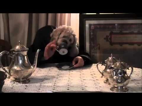 ცუგა სვამს ჩაის