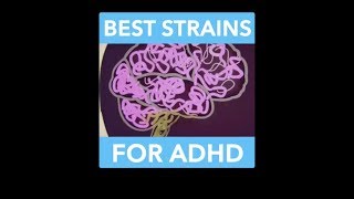 Best Strains For ADHD