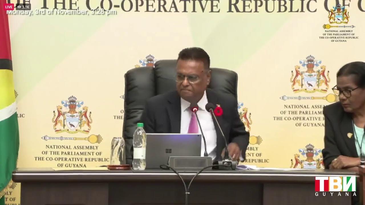 WATCH | 1ST SITTING - THIRTEENTH PARLIAMENT 2025