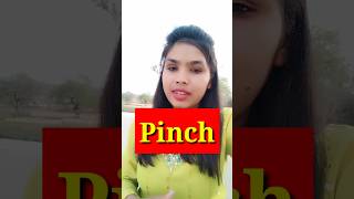 What is the meaning of 'pinch' ||#shorts