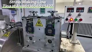 Fully Automatic Straw Extruder | An Efficient & Stable Solution for Large-Scale Production