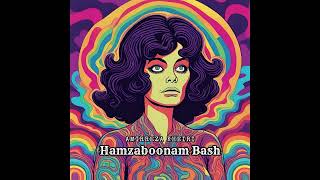 Amirreza Kheiri - Hamzaboonam Bash Resimi