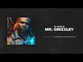 Tee Grizzley - Mr. Grizzley [Official Audio]