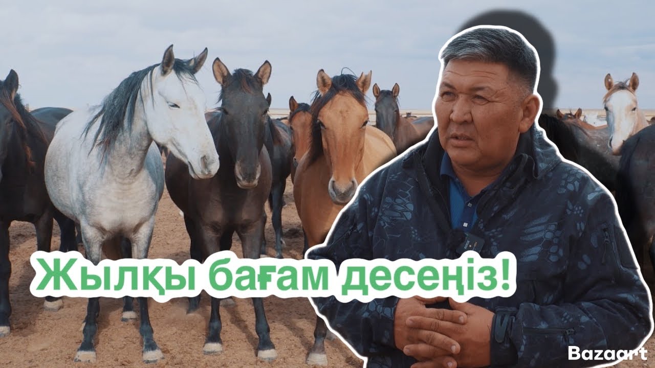 Маңғыстаулық жылқышы!