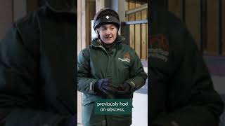 How to pick out your pony’s hoof 🐴 ​