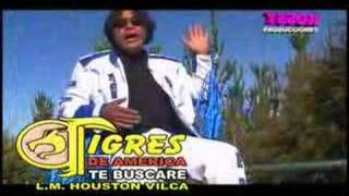 Video thumbnail of "los tigres de america-te buscare"