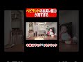 華麗なるサラブレッド
