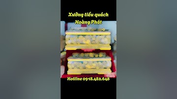 Mua tiểu sành ở đâu chuẩn đẹp, kích thước các loại quách tiểu Bát Tràng -Xưởng quan quách Hoàng Phát