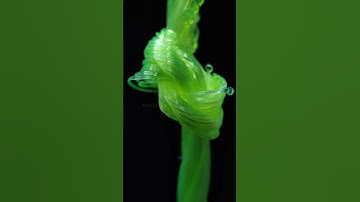 Thread Knot in Macro | Close-up #macro #closeup #asmr