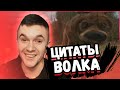 АУРУМ СМОТРИТ: ЦИТАТЫ ВОЛКА ИЗ ТИК ТОК | МУДРОСТЬ ВОЛКА | TIKTOK ПОДБОРКИ | МЕМЫ ВОЛК #1