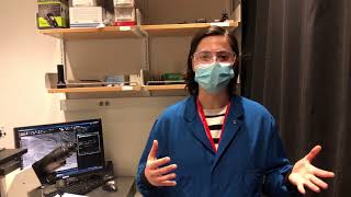 Look into the Lab - Ruberti Lab