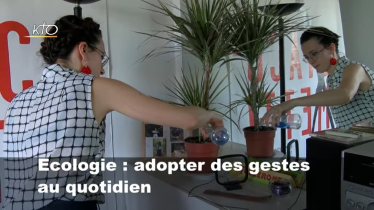 Ecologie : Adopter des gestes au quotidien (1/4)