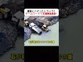 泥沼にハマったトラック! チームワークで見事救出成功! #トラック救出 #チームワーク #現場作業 #建設機械 #協力プレイ