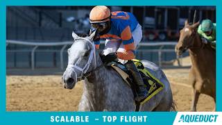 Scalable - 2026 - Top Flight