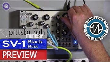 Pittsburgh Modular SV-1 Blackbox Preview - Questions?