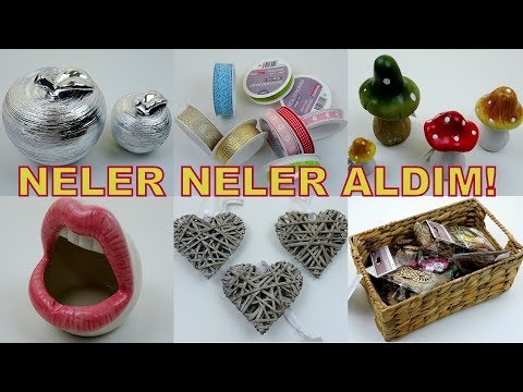 Video: Elizabeth Álvarez Nettovärde: Wiki, Gift, Familj, Bröllop, Lön, Syskon