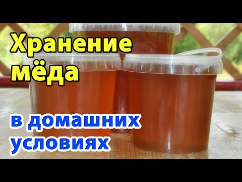 Как хранить мёд. Хранение мёда в домашних условиях