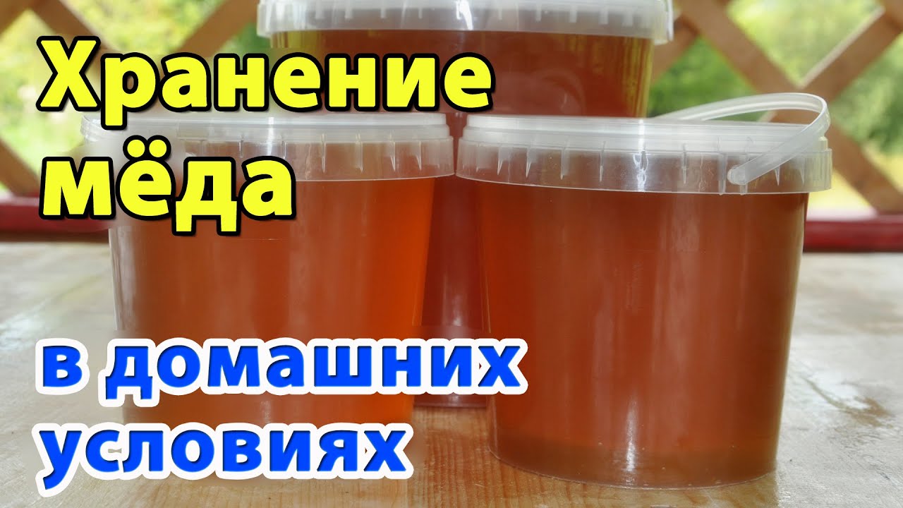 Как хранить мёд. Хранение мёда в домашних условиях