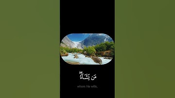 ومـا يستوي الأحياء ولا الأموات - #صلاح_بو_خاطـر  - #سورة_فاطر #حالة_واتس