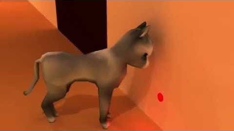 Eurecom 2016 - 3DGraph project - Cat vs laser