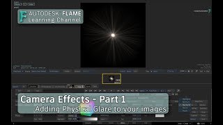 Camera Effects - Part 1 - Adding Physical Glare - Flame 2019