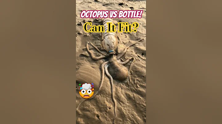 Octopus Tries to Squeeze Into a Plastic Bottle – Unbelievable!😱 #shorts #animals
