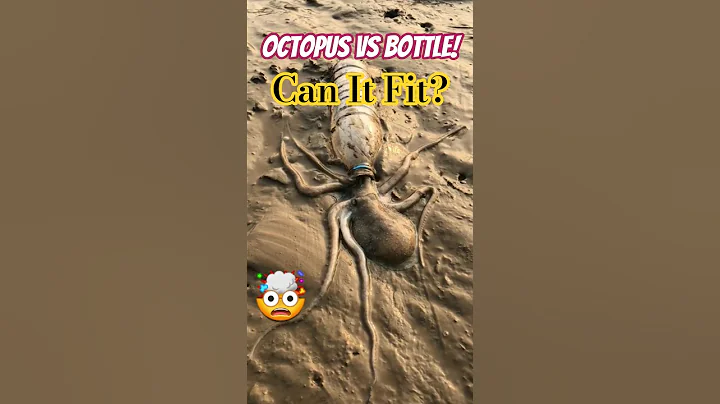 Octopus Tries to Squeeze Into a Plastic Bottle – Unbelievable!😱 #shorts #animals