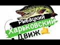 Флагман покупка катушки Дайва ниндзя 4000 оказалась не приятной