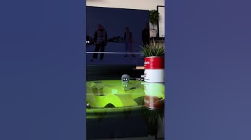 Mochi and Japanese music works too well 💗 #dasai #mochi #japan #jdm #anime #hype #hypebeast