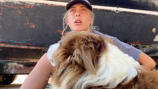 Ep. 05: Hauling out my Wharram Catamaran